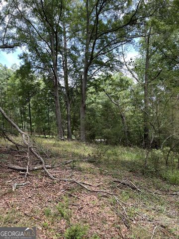 1240 Summit Drive, Watkinsville, GA 30677