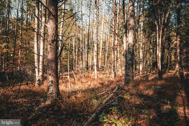 14603 COX MILL RD, Gordonsville, VA 22942