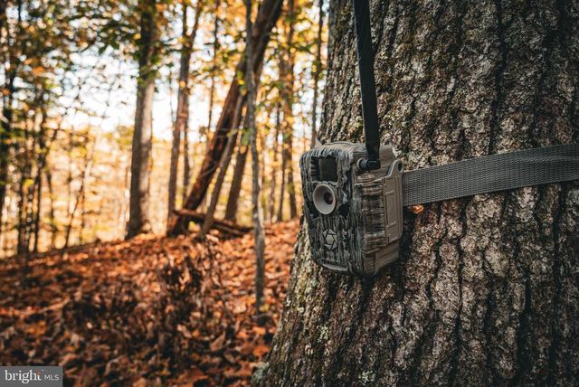 14603 COX MILL RD, Gordonsville, VA 22942