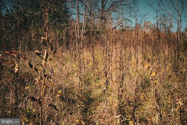 14603 COX MILL RD, Gordonsville, VA 22942