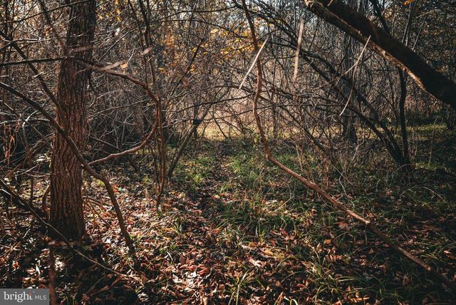 14603 COX MILL RD, Gordonsville, VA 22942