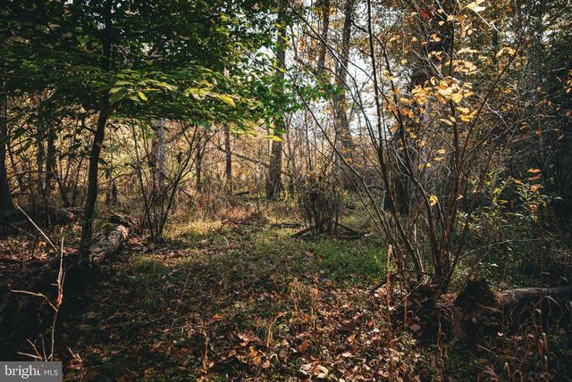 14603 COX MILL RD, Gordonsville, VA 22942