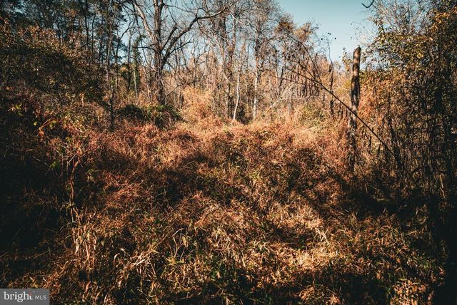 14603 COX MILL RD, Gordonsville, VA 22942