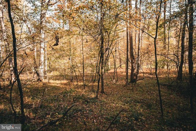 14603 COX MILL RD, Gordonsville, VA 22942