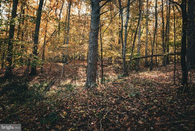 14603 COX MILL RD, Gordonsville, VA 22942