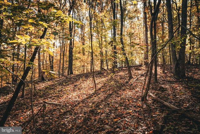 14603 COX MILL RD, Gordonsville, VA 22942