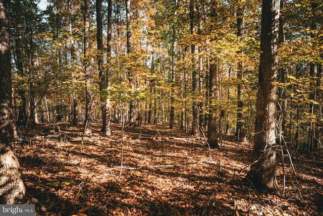 14603 COX MILL RD, Gordonsville, VA 22942