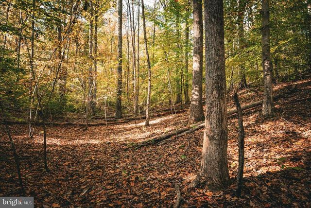 14603 COX MILL RD, Gordonsville, VA 22942