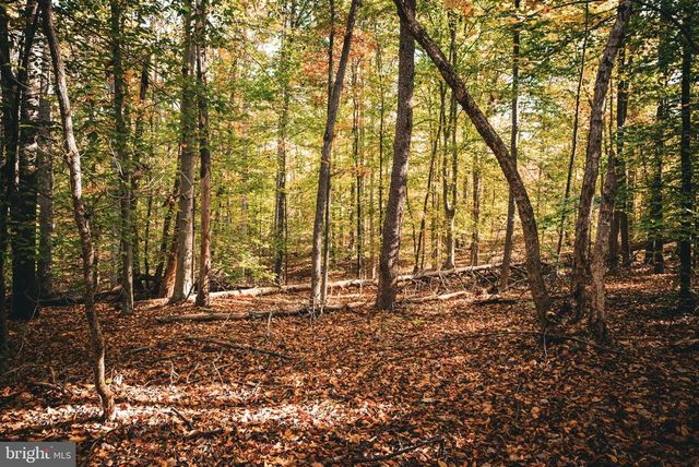 14603 COX MILL RD, Gordonsville, VA 22942