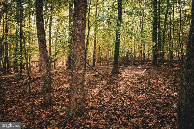 14603 COX MILL RD, Gordonsville, VA 22942