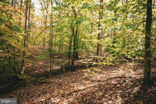 14603 COX MILL RD, Gordonsville, VA 22942