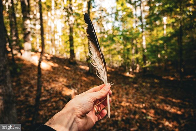 14603 COX MILL RD, Gordonsville, VA 22942