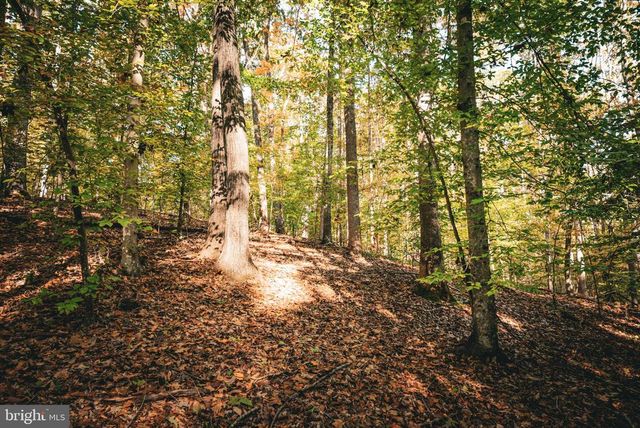 14603 COX MILL RD, Gordonsville, VA 22942