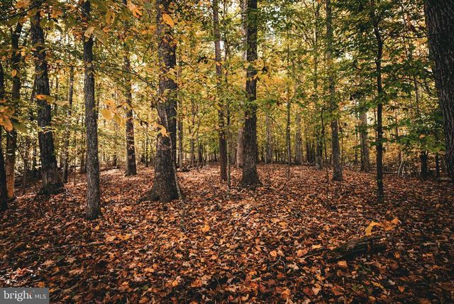 14603 COX MILL RD, Gordonsville, VA 22942