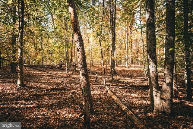 14603 COX MILL RD, Gordonsville, VA 22942