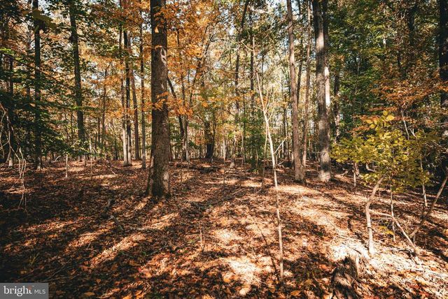 14603 COX MILL RD, Gordonsville, VA 22942