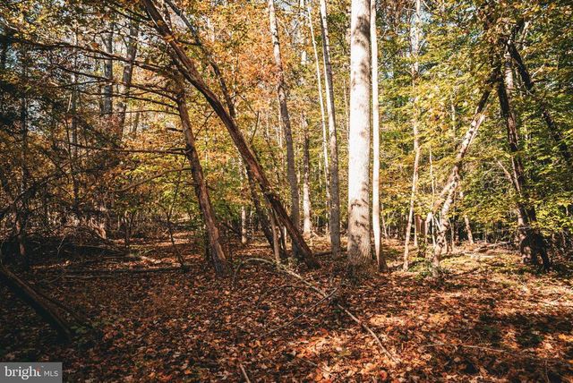 14603 COX MILL RD, Gordonsville, VA 22942