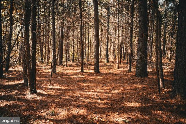 14603 COX MILL RD, Gordonsville, VA 22942