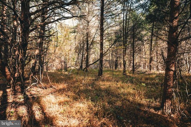 14603 COX MILL RD, Gordonsville, VA 22942