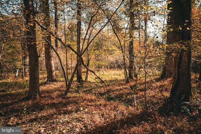 14603 COX MILL RD, Gordonsville, VA 22942