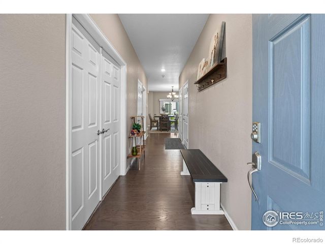 1961 Rose Petal Drive, Windsor, CO 80550