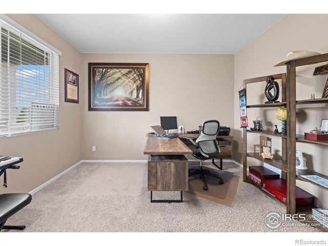 1961 Rose Petal Drive, Windsor, CO 80550