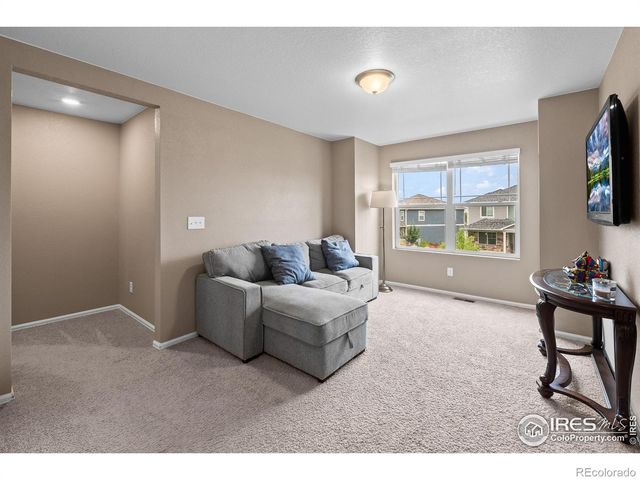 1961 Rose Petal Drive, Windsor, CO 80550