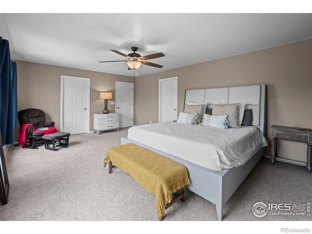 1961 Rose Petal Drive, Windsor, CO 80550