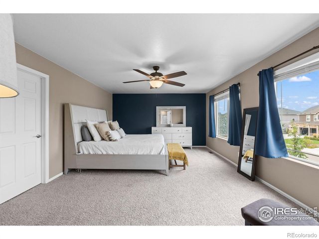 1961 Rose Petal Drive, Windsor, CO 80550