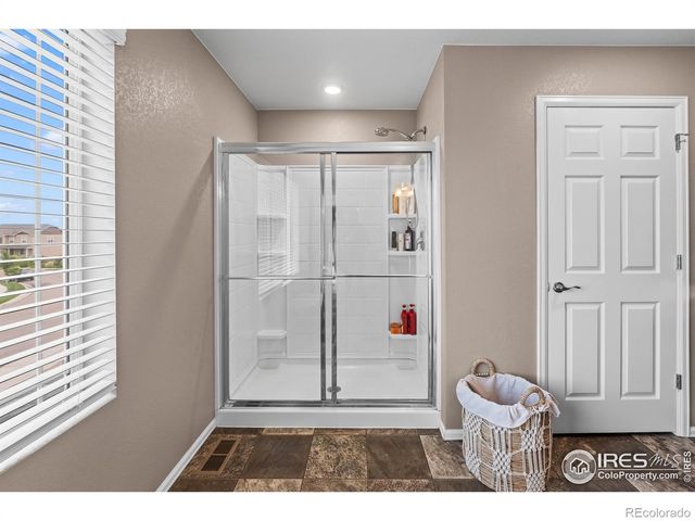 1961 Rose Petal Drive, Windsor, CO 80550