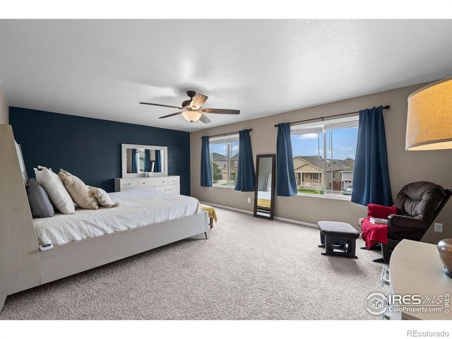1961 Rose Petal Drive, Windsor, CO 80550