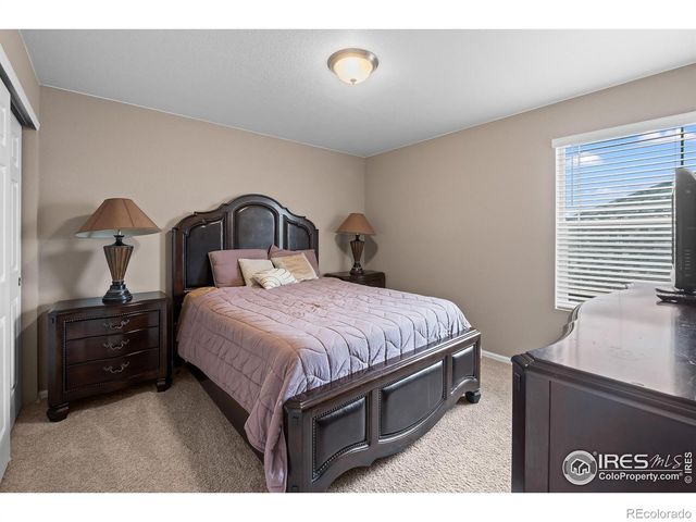 1961 Rose Petal Drive, Windsor, CO 80550