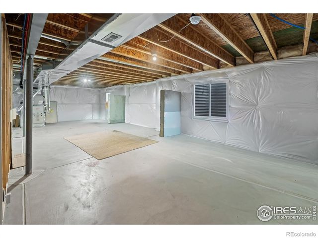 1961 Rose Petal Drive, Windsor, CO 80550