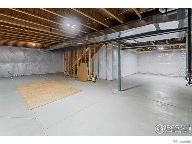 1961 Rose Petal Drive, Windsor, CO 80550