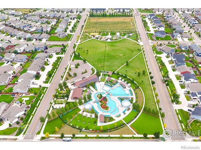 1961 Rose Petal Drive, Windsor, CO 80550