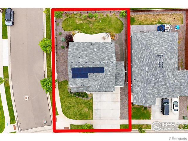 1961 Rose Petal Drive, Windsor, CO 80550