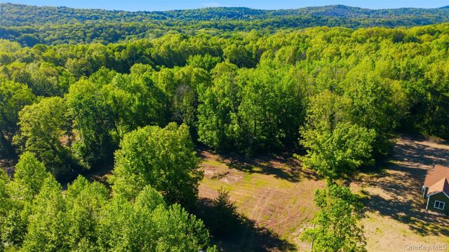 238 Bruceville Road, High Falls, NY 12440