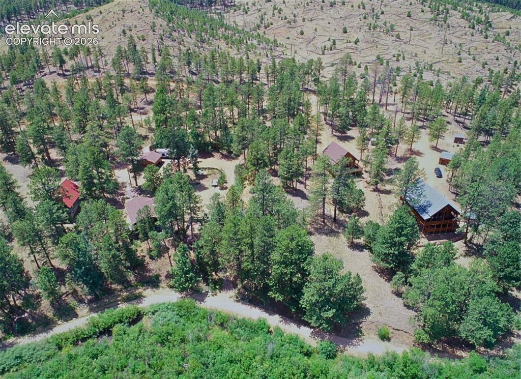 15394 Westcreek Road, Woodland Park, CO 80863 — photo 2