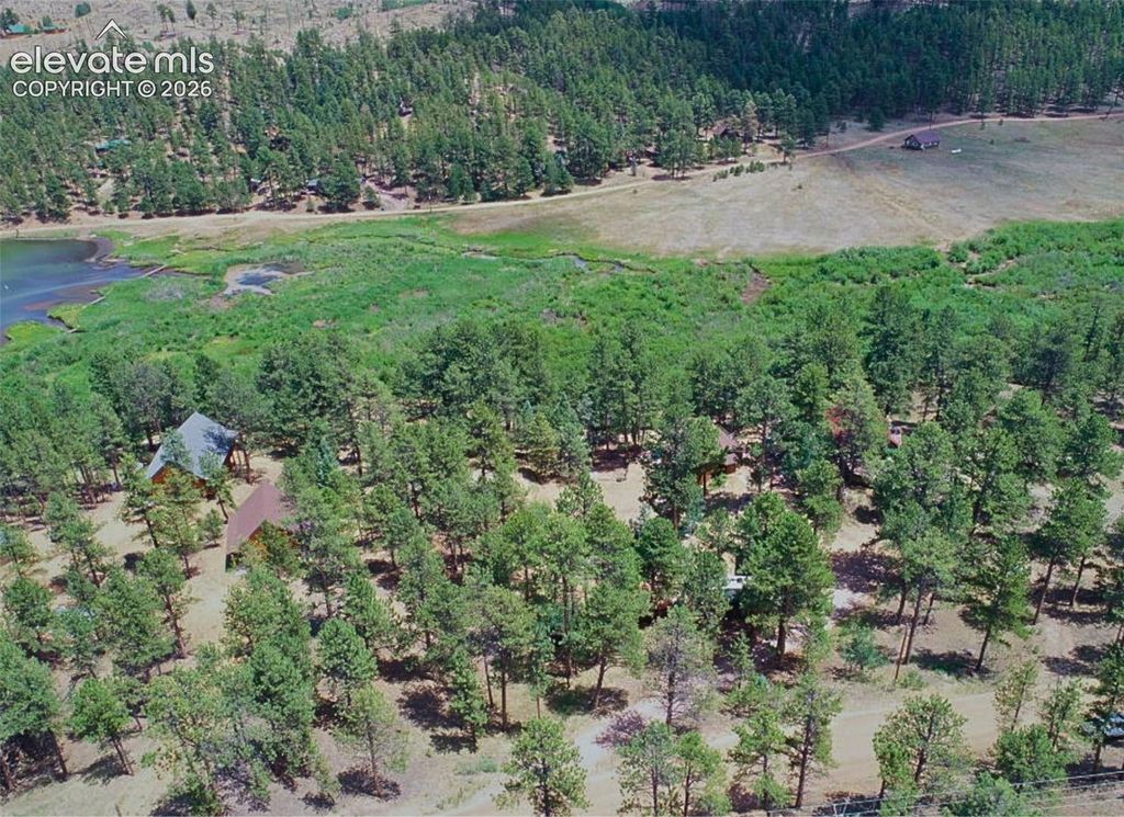 15394 Westcreek Road, Woodland Park, CO 80863 — photo 4