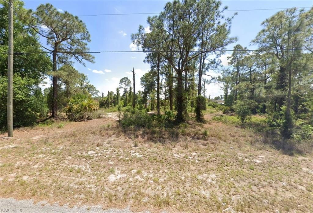 852 Carpenter ST E, LEHIGH ACRES, FL 33974 — exterior