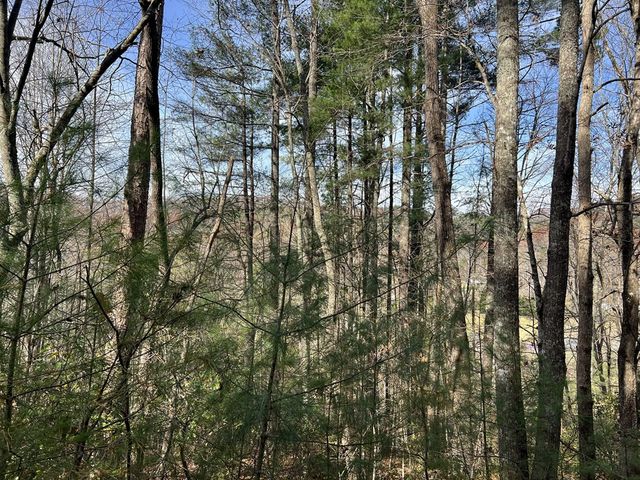 0 Downings Creek Lane, Hayesville, NC 28904