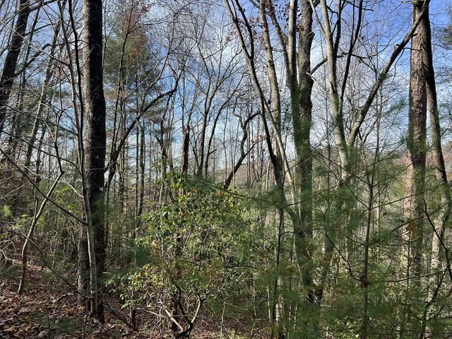 0 Downings Creek Lane, Hayesville, NC 28904