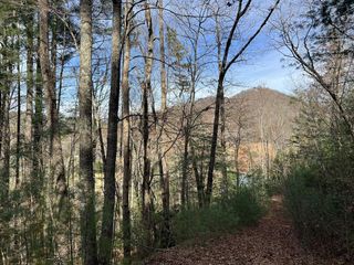 0 Downings Creek Lane, Hayesville, NC 28904