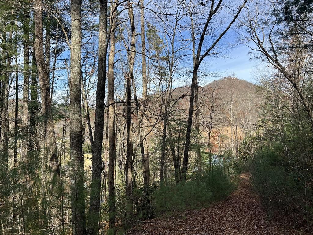 0 Downings Creek Lane, Hayesville, NC 28904