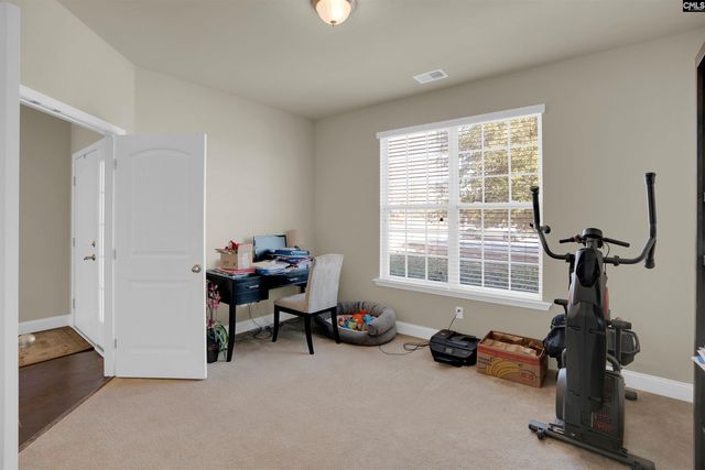 315 Eagle Claw Drive, Chapin, SC 29036