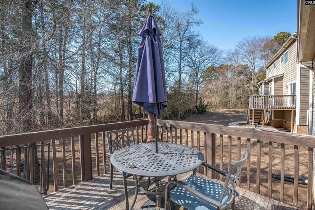 315 Eagle Claw Drive, Chapin, SC 29036