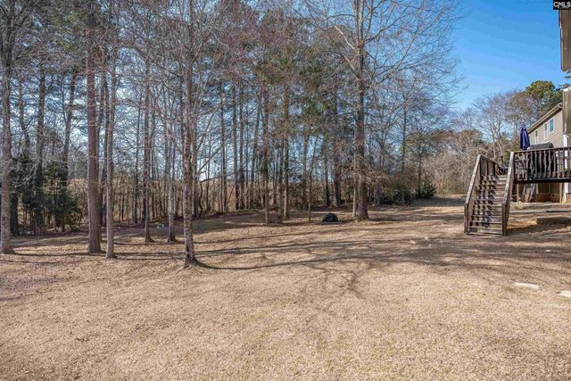 315 Eagle Claw Drive, Chapin, SC 29036