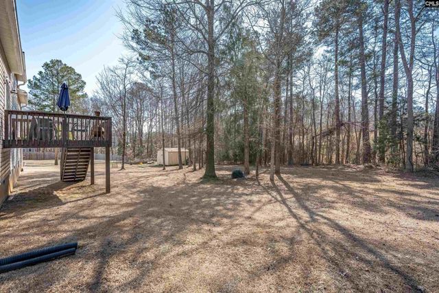 315 Eagle Claw Drive, Chapin, SC 29036