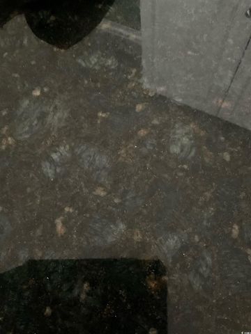 1672 Ursa Minor Dr., Myrtle Beach, SC 29588