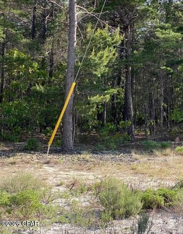 0 No Street Address, Panama City Beach, FL 32413